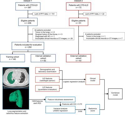 Non-contrast computed tomography-based radiomics for staging of connective tissue disease-associated interstitial lung disease